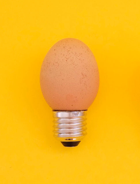 Egglamp Brown